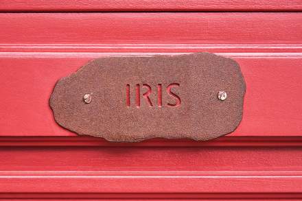 Maison Caillet | Chambre Iris